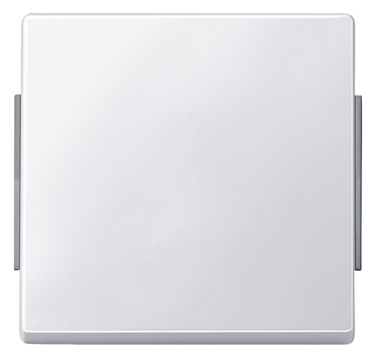 Merten 343119 AQUADESIGN Wippe polarweiß Merten 343119 AQUADESIGN Wippe polarweiß