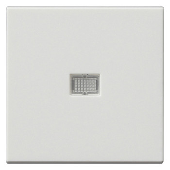 Gira 029827 Wippe Kontrollfenster groß System 55 reinweiß seidenmatt Gira 029827 Wippe Kontrollfenster groß System 55 reinweiß seidenmatt